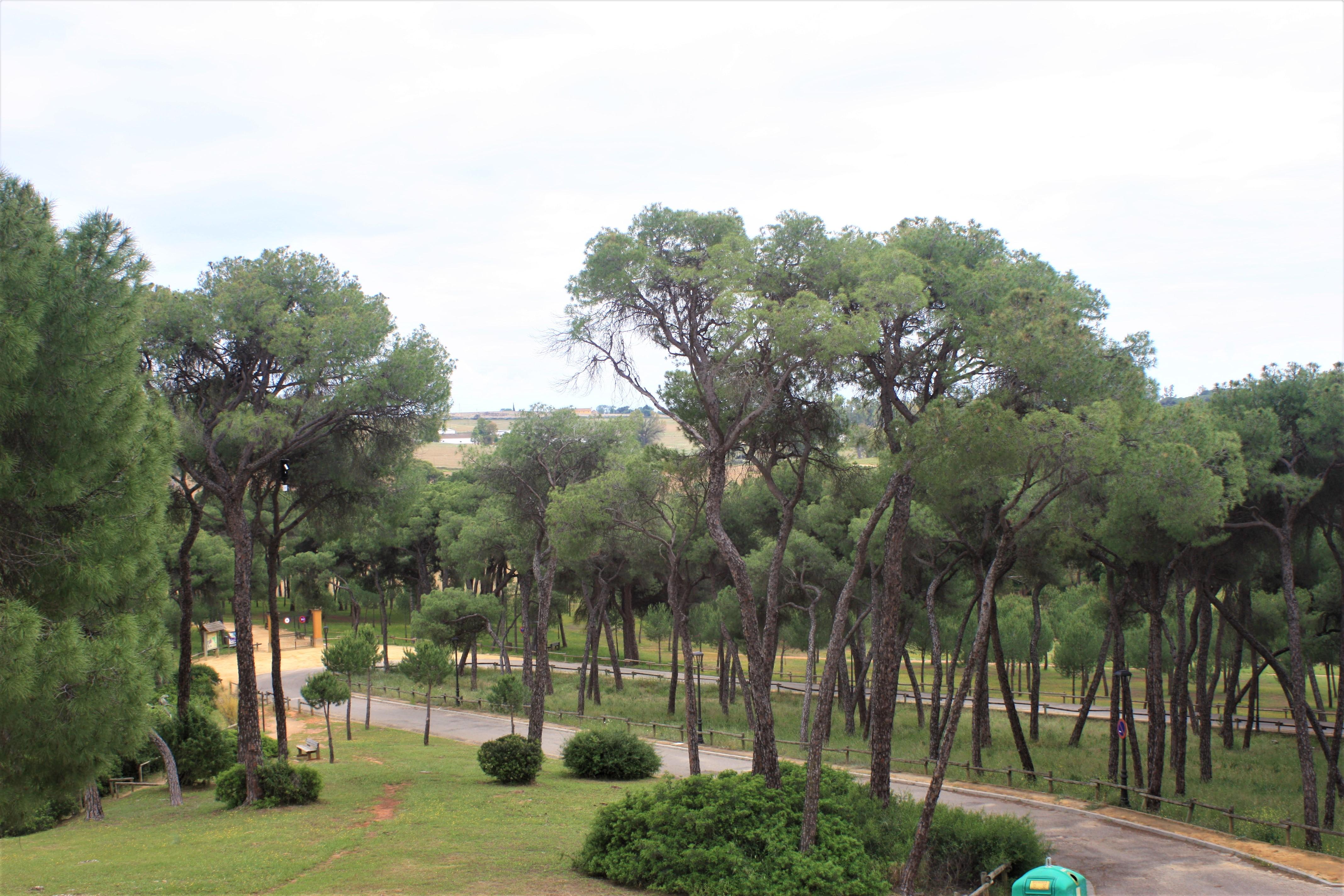 Hotel Oromana Alcalá de Guadaira Esterno foto