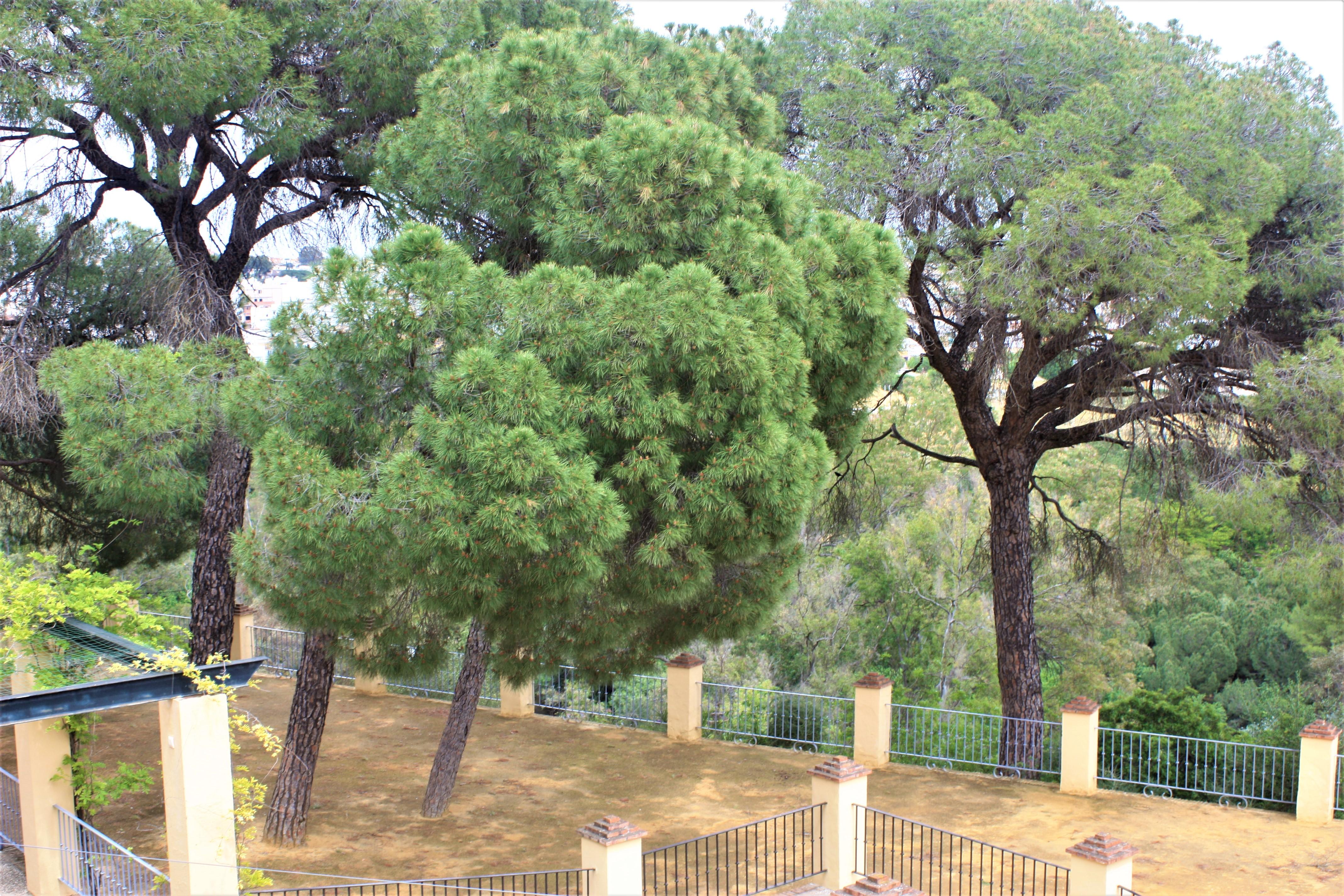 Hotel Oromana Alcalá de Guadaira Esterno foto