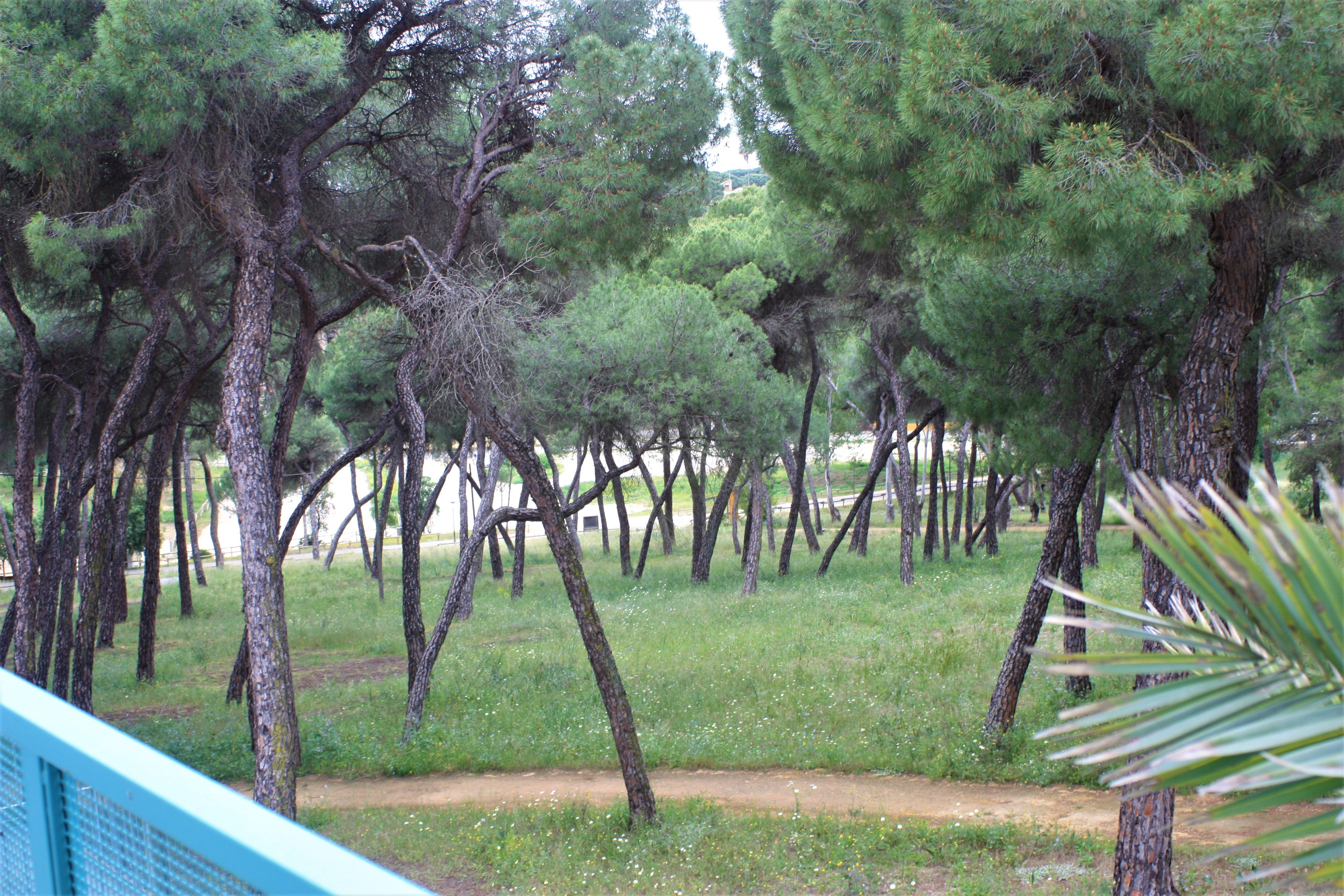 Hotel Oromana Alcalá de Guadaira Esterno foto