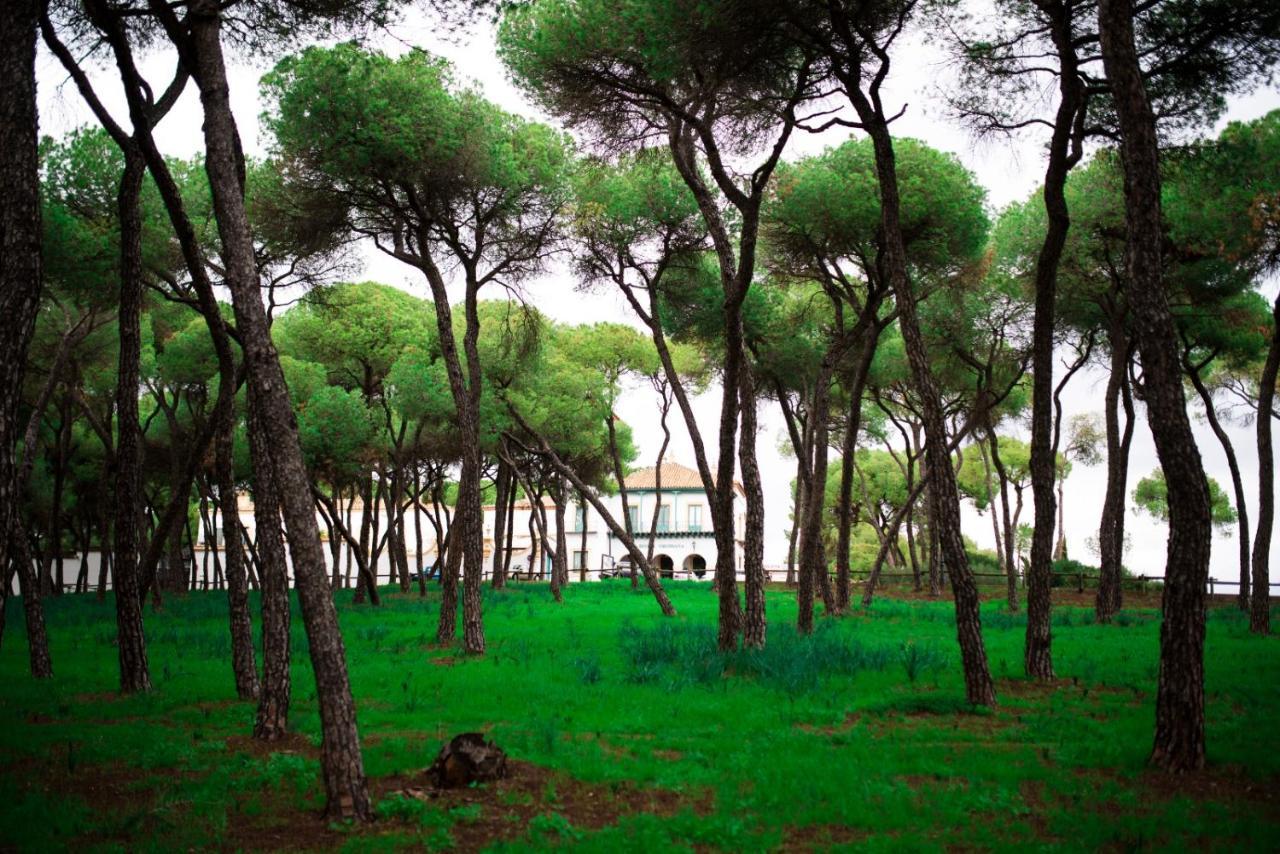 Hotel Oromana Alcalá de Guadaira Esterno foto